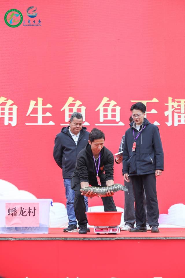 裁判捞鱼进行称重。