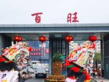 一路舞麒麟、千人吃盆菜，百旺居民喜气洋洋过元宵