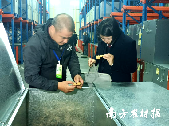 新会陈皮溯源实地核查小组开展新会陈皮溯源核查工作现场。