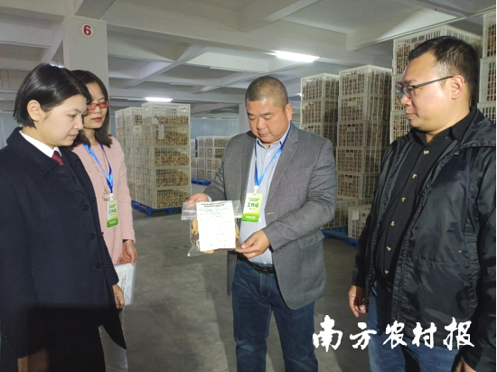 2月26日，新会陈皮溯源实地核查小组走访经营户开展新会陈皮溯源核查工作。