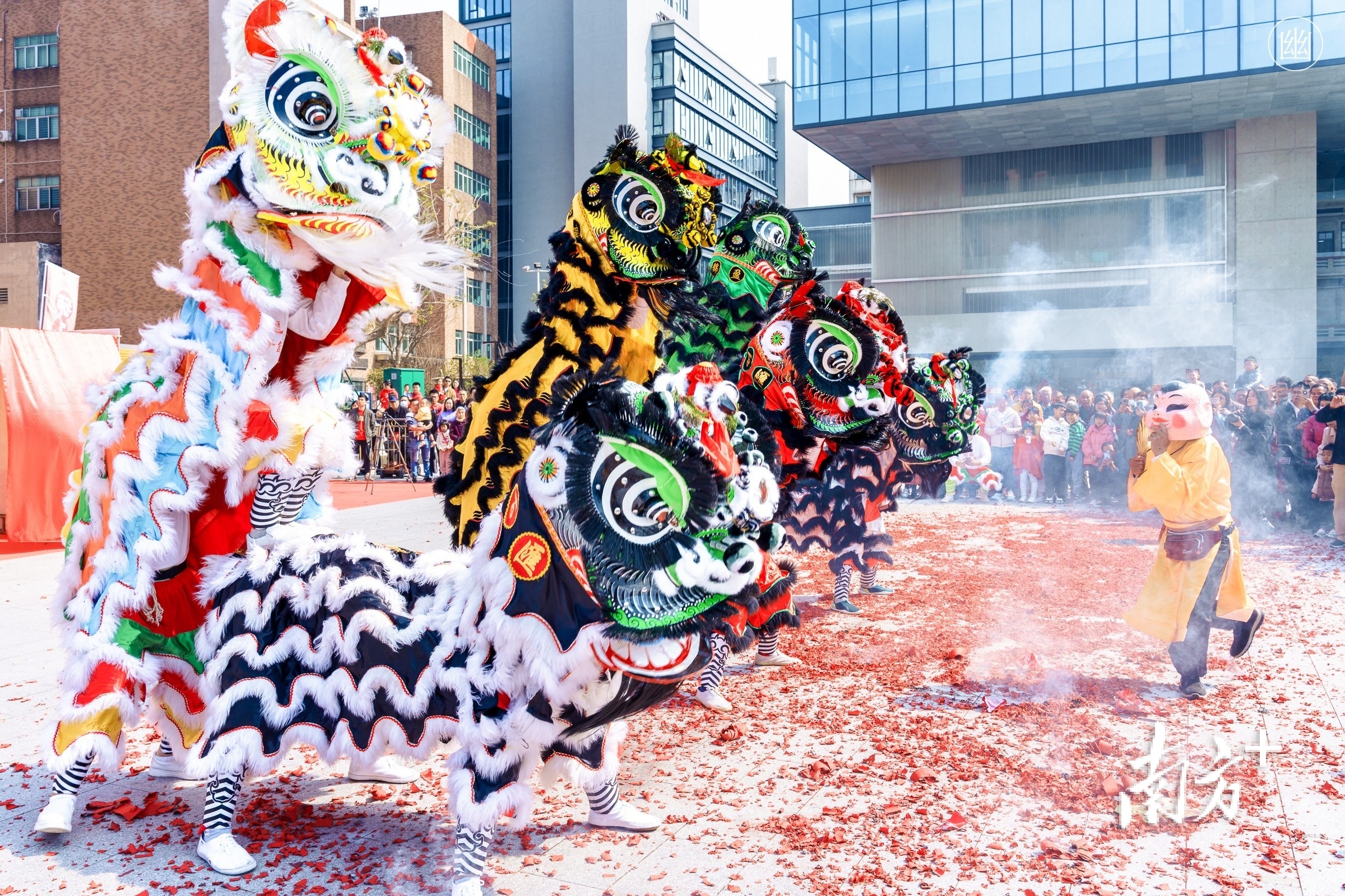 2月10日,东莞市石龙镇,年味十足的醒狮展演。陈慧娴 摄 2月10日,东莞市石龙镇,年味十足的醒狮展演。陈慧娴 摄