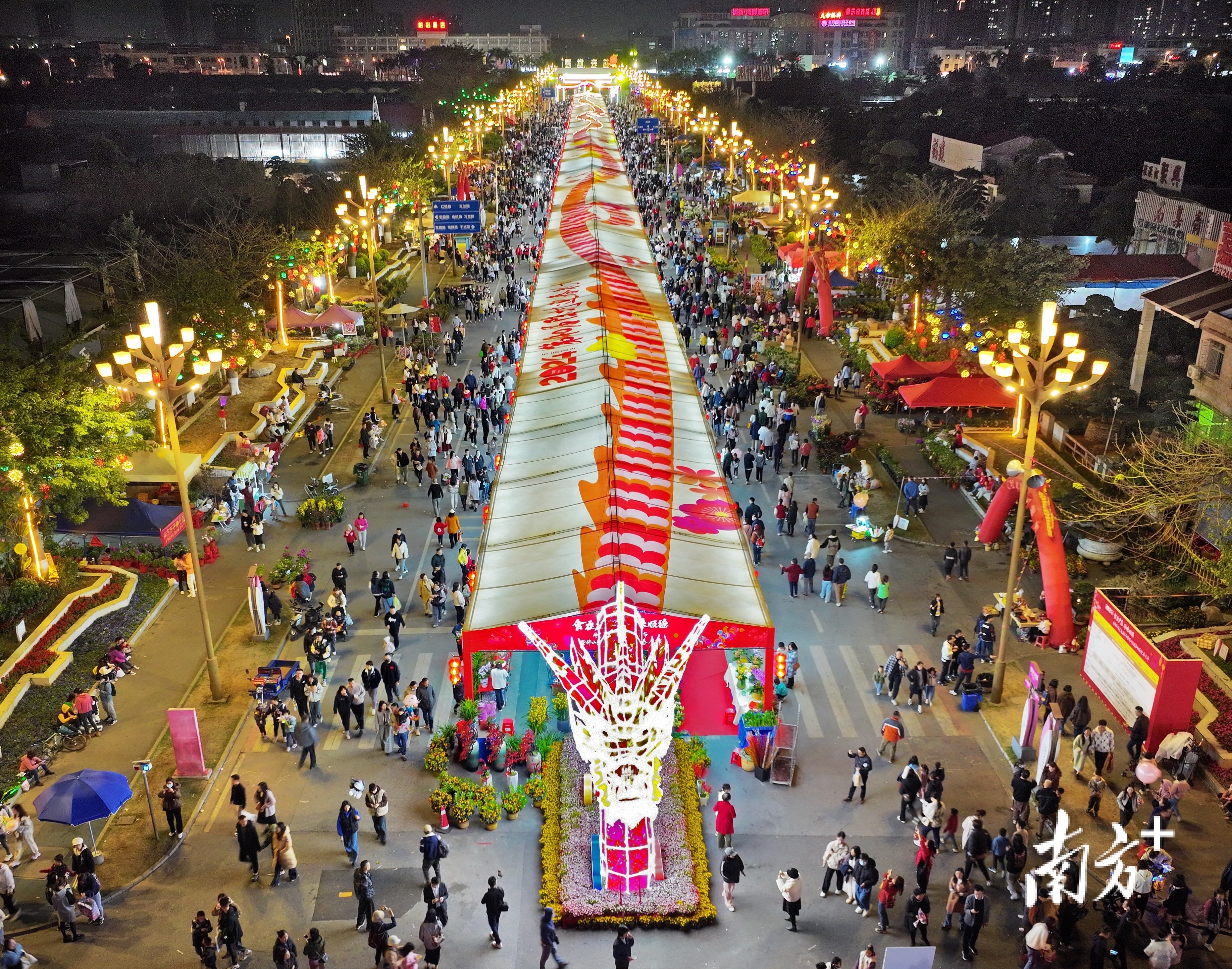 2月5日,佛山市顺德区陈村花卉世界游人如织。谢深本 摄 2月5日,佛山市顺德区陈村花卉世界游人如织。谢深本 摄