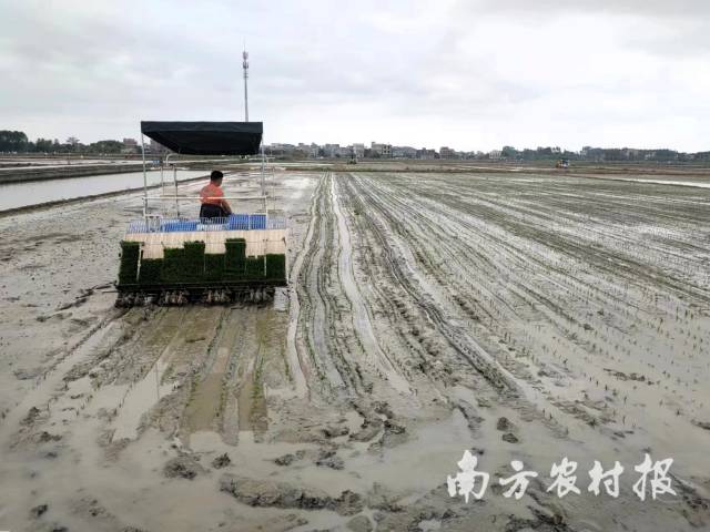 全省多地开始春耕备耕 全省多地开始春耕备耕