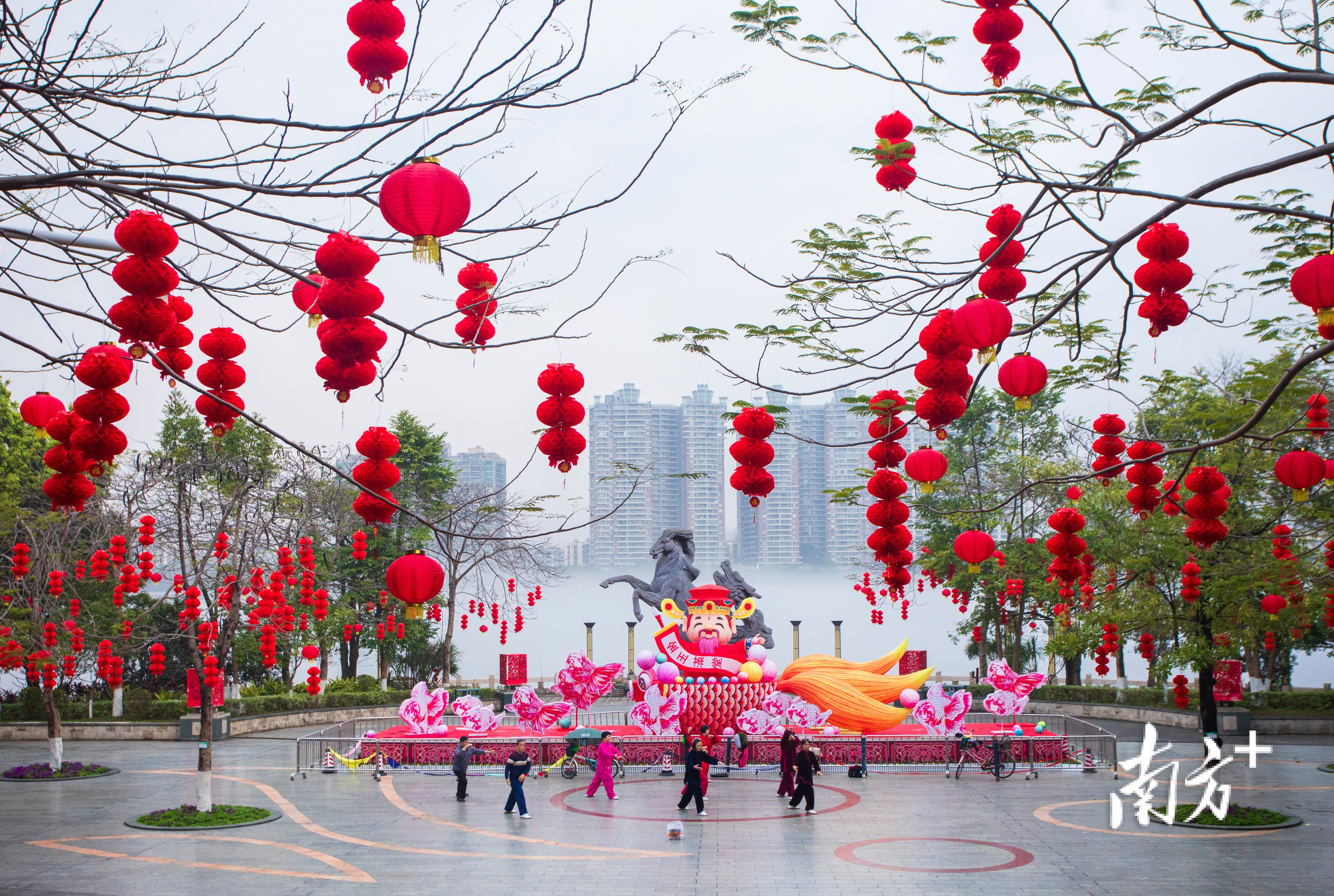 2月2日清晨,清远市清城区龙马广场,早起的市民在挂满红灯笼的广场练太极。李学俊 摄 2月2日清晨,清远市清城区龙马广场,早起的市民在挂满红灯笼的广场练太极。李学俊 摄