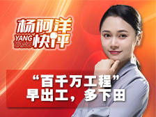 “百千万工程”,早出工,多下田 | 杨阿洋快评