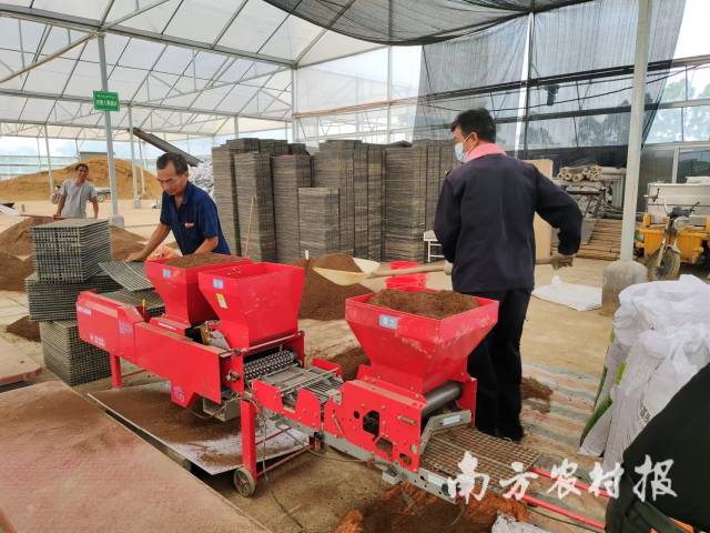 广州市从化区大旺莱农机业余相助社的水稻育苗配送中间