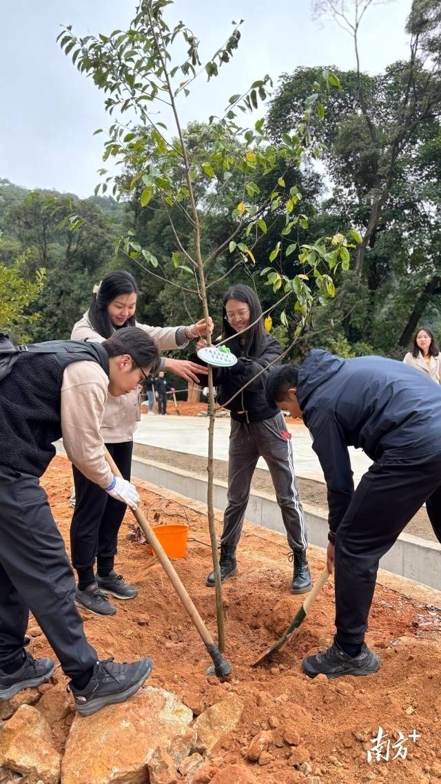 南方农村报 李嘉镓 制图