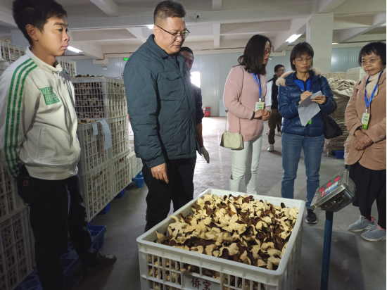 新会陈皮溯源实地核查小组进行年份、重量核查。