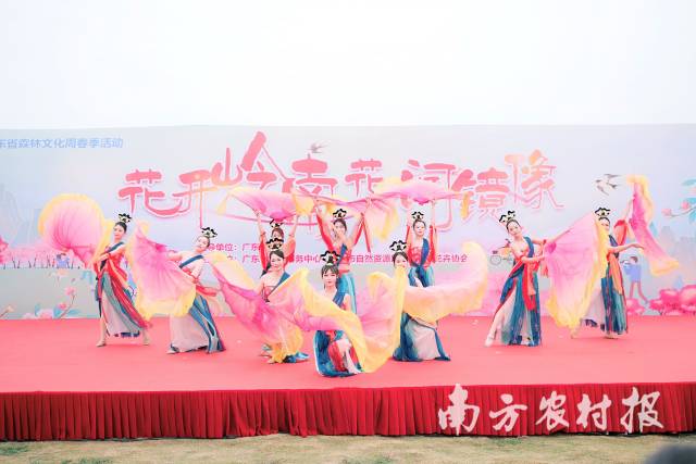 活动表演 活动表演