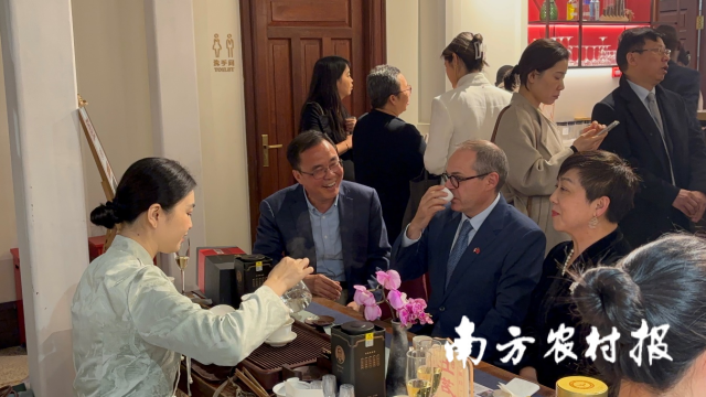 法国驻广州总领事福希玮品尝英德红茶金毛毫。