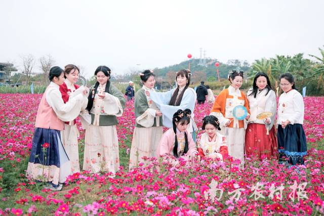 乱花渐欲迷人眼,市民穿汉服打卡花海 乱花渐欲迷人眼,市民穿汉服打卡花海