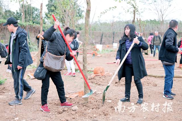 市民参与春季植花树活动