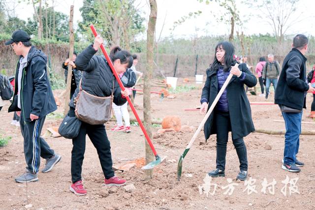 市民参与春季植花树活动 市民参与春季植花树活动