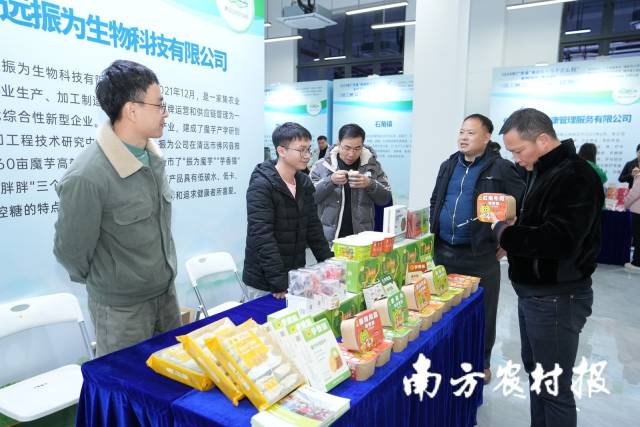 第二届中国佛冈魔芋产业推介会现场，佛冈魔芋品牌“艾饱饱”“芋香猫”系列魔芋食品亮相展示。