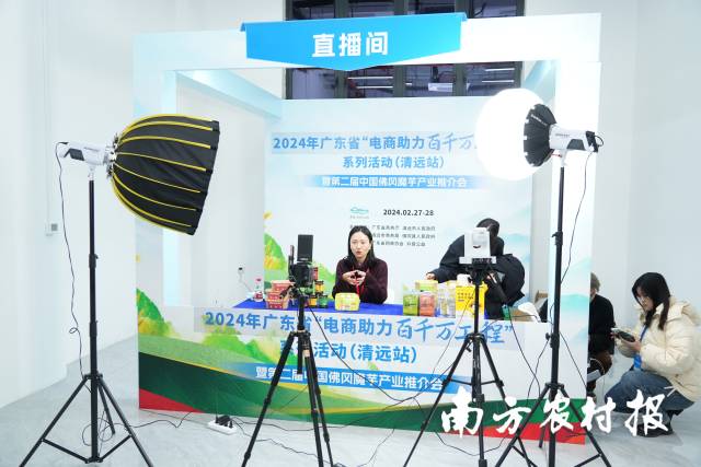 佛冈农产品搭乘电商快车，打开更广阔的销售渠道。