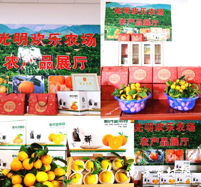 农场产品展示 农场产品展示
