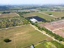 整合千亩农地，“里水经验”为全省全国探路｜南海改革十大典型案例⑧