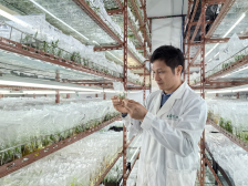 鹏力农业罗纪锋：打造种苗王国，用科技助农村致富｜佛山大城工匠