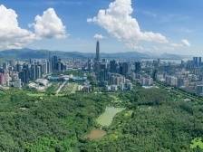 区势｜龙年开局，深圳各区有哪些“大动作”？