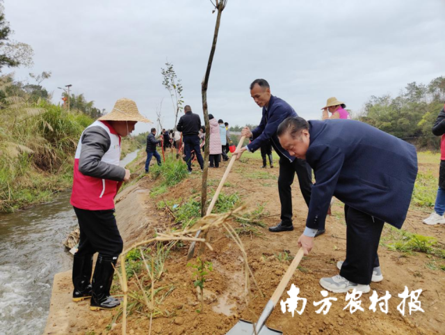 省地方志办党组成员、为永<strong>九游</strong>副主任丘洪松（右一）参加植树活动