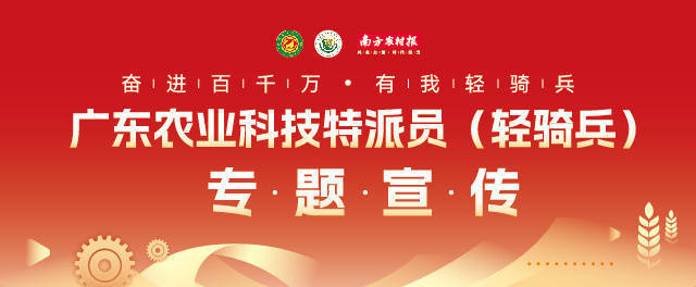 揭东农技驿站给“竹”科技支持，”锁”住鲜美串起富民产业链