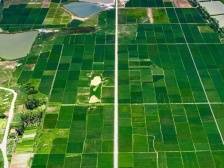 覃巴镇新村多举措促逆袭，蝶变“绿富美”