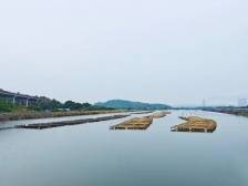 深汕新园村：咸淡水养出鲜甜蚝，滩涂地蝶变“聚宝盆”|“百千万工程”一线报告