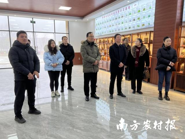 富川县考察团到金秀香草岭瑶药标准化种植基地调研瑶医药产业。陈名扬/摄
