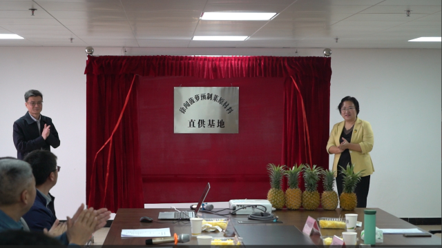 徐闻菠萝预制菜原材料直供基地揭牌。