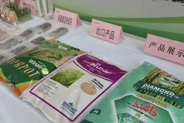 中国种业持续加快“走出去”步伐。