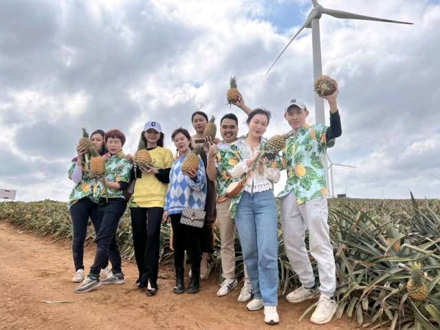 “菠萝的海”百千田头直播。