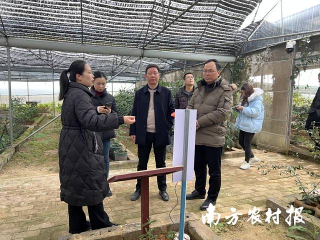 富川县考察团到桐木镇汇萃本草瑶药产业技术实训基地调研。陈名扬/摄