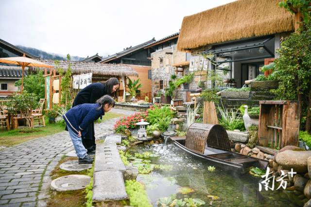 石坪村一角。