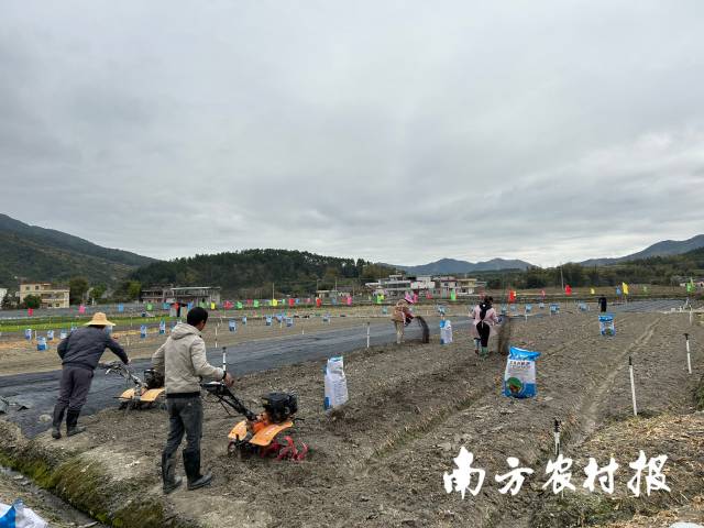 演示中，种植户将生物有机肥均匀撒至土壤表面，机手则启动设备，将生物有机肥与土壤混匀。