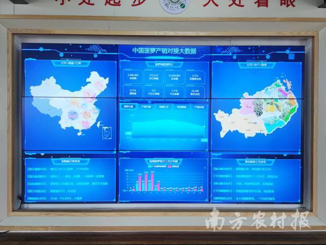 菠萝产销对接大数据助力产业升级。