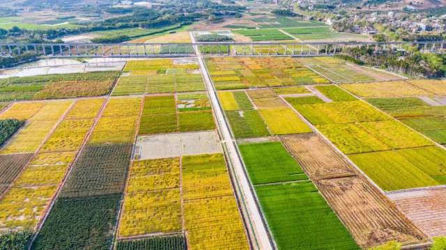 海南三亚，国家南繁科研育种保护区。