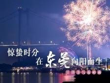 惊蛰时分，在东莞向阳而生