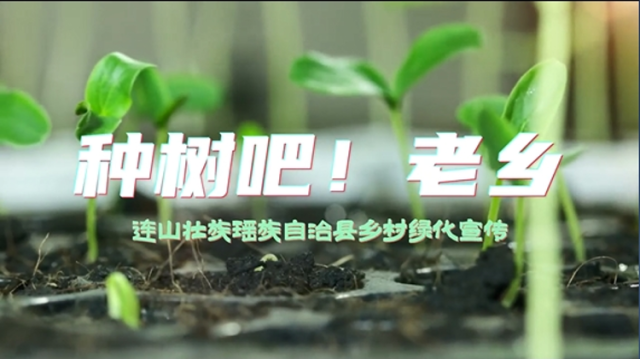 《种树吧！老乡》，这首原创Rap歌曲，超上头！