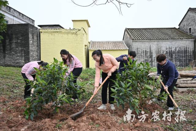 广大市民参与植物