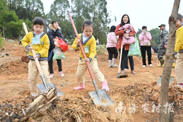 小学生参与植树