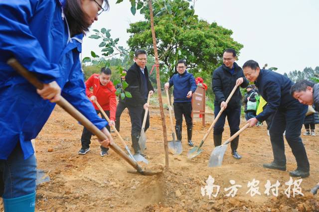 活动植树现场