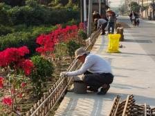 普宁市里湖镇：凝心聚“绿”，助推“百千万工程”