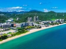 春节大鹏过夜游客增长超两倍，省外游客量明显上升、境外游客量创新高