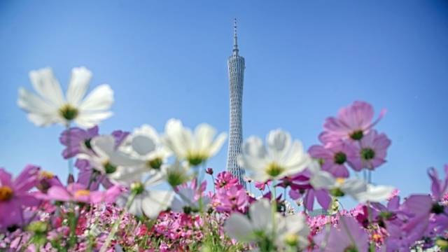 牢记嘱托、感恩奋进，广东代表委员、干部群众共话建设现代化新广东