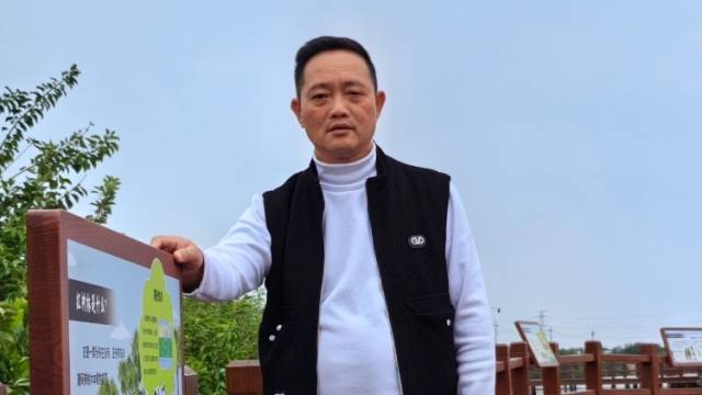 湛江市世乔村党支部书记许伟宁： “温暖话语让大家鼓足干劲守护红树林”