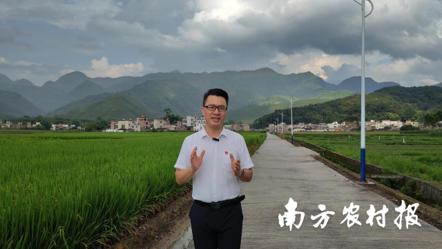 乡村新闻官袁学友进行农事播报视频拍摄。