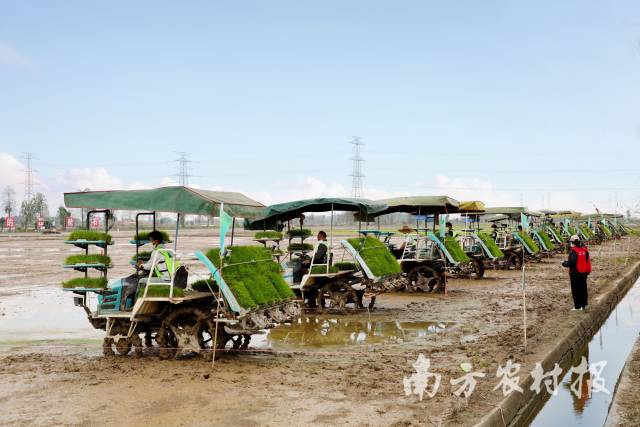 天禾股份助力春耕生产