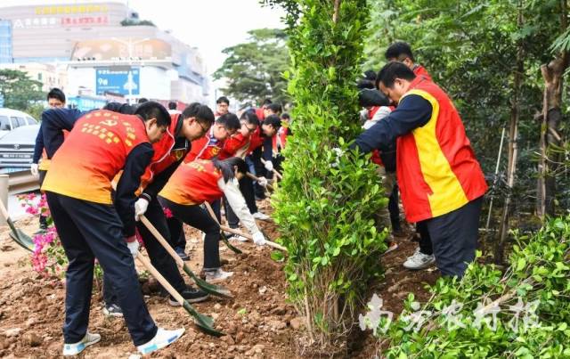 1月11日，古镇镇开展党建引领绿美古镇乡村绿化行动植树活动。 