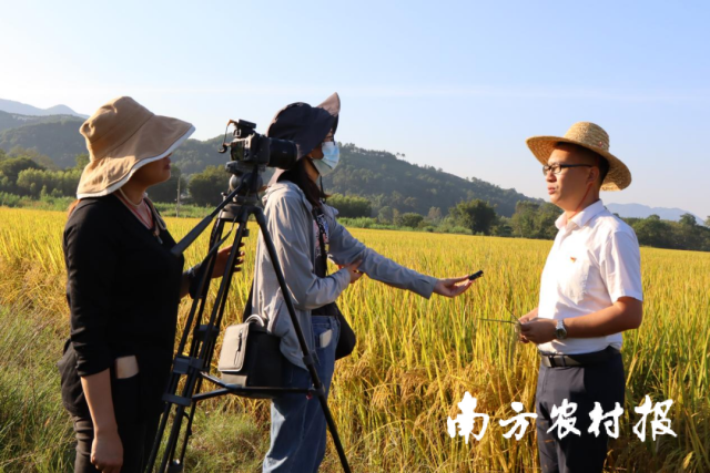 乡村新闻从宣传入手，以本村农业为素材，利用好乡村新闻官的平台和网络媒介，加强沙陂村宣传力度。