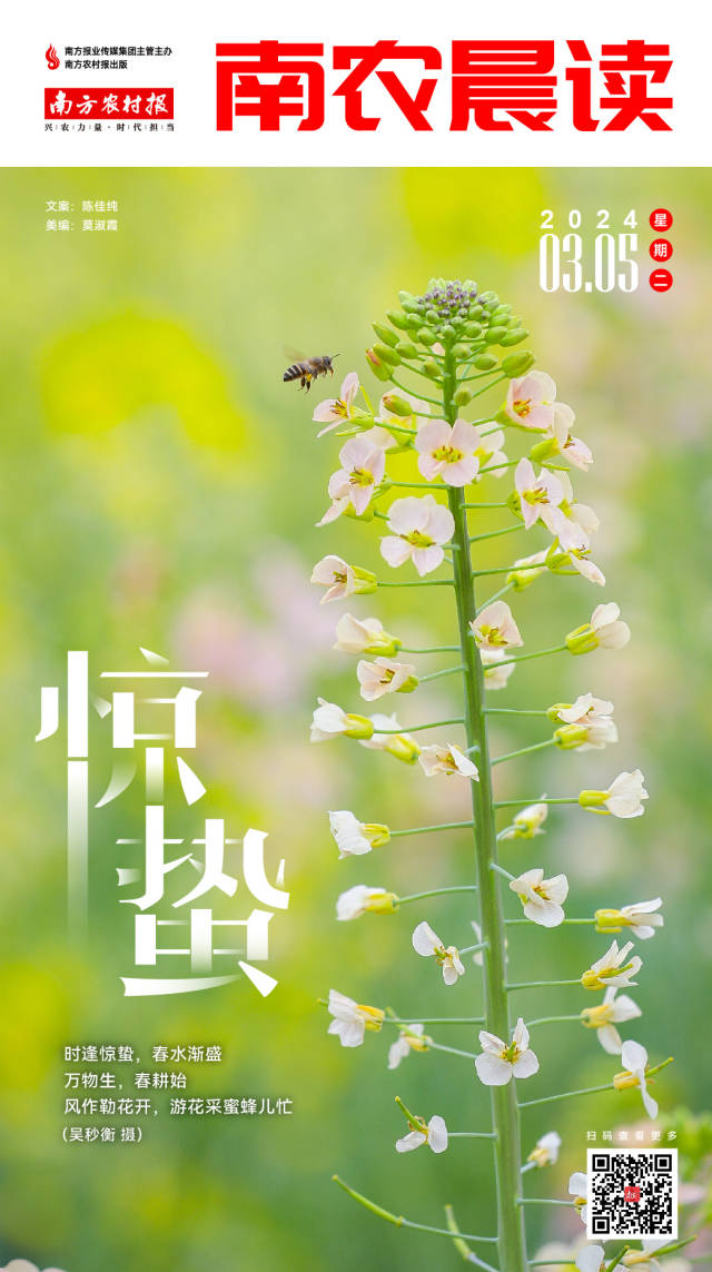 互联网金融进入井喷阶段